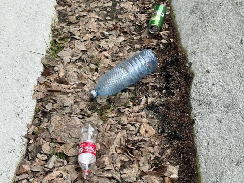 Sok a szemét a Hatod-tetőn, a megyetanácselnök ideges