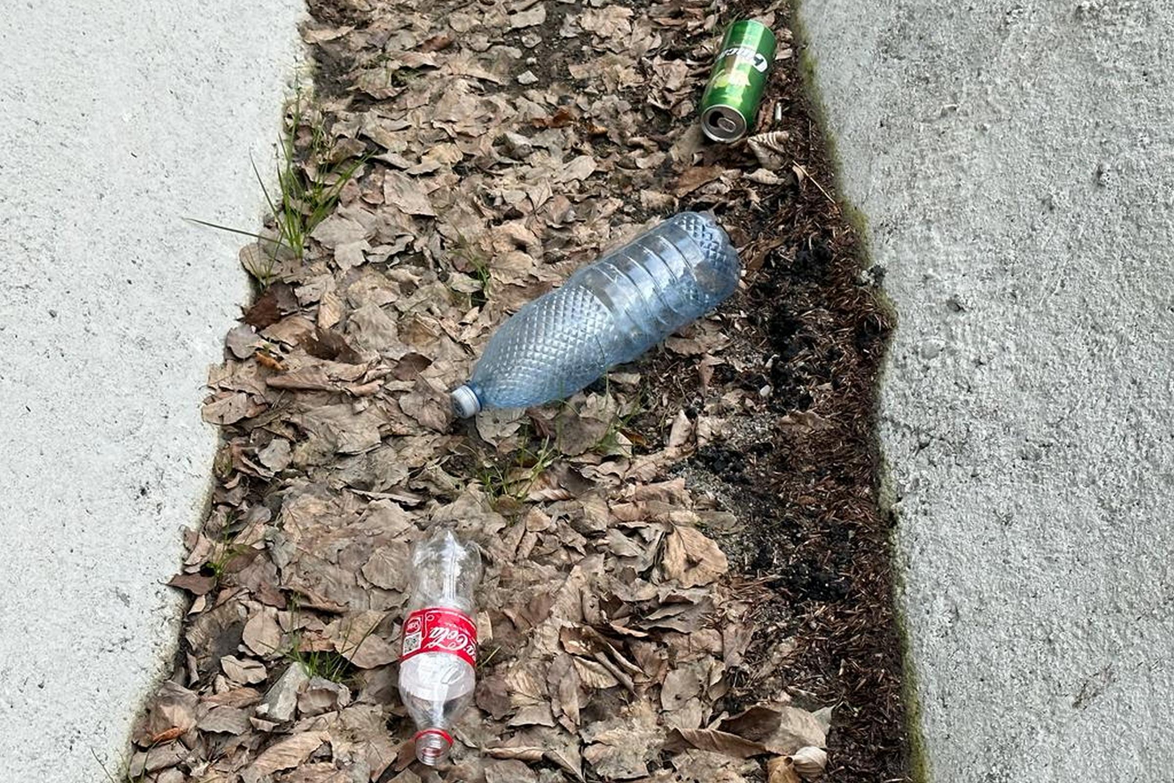 Sok a szemét a Hatod-tetőn, a megyetanácselnök ideges