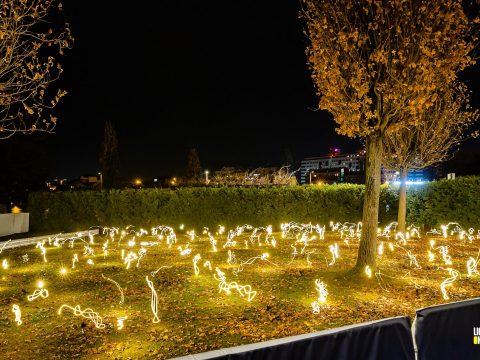 Mesés jelenség az Erzsébet-parkban – szentjánosbogár-rajzást utánzó fényinstallációt tesz közszemlére a város