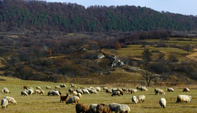 Egyed napjával beköszöntött az ősz