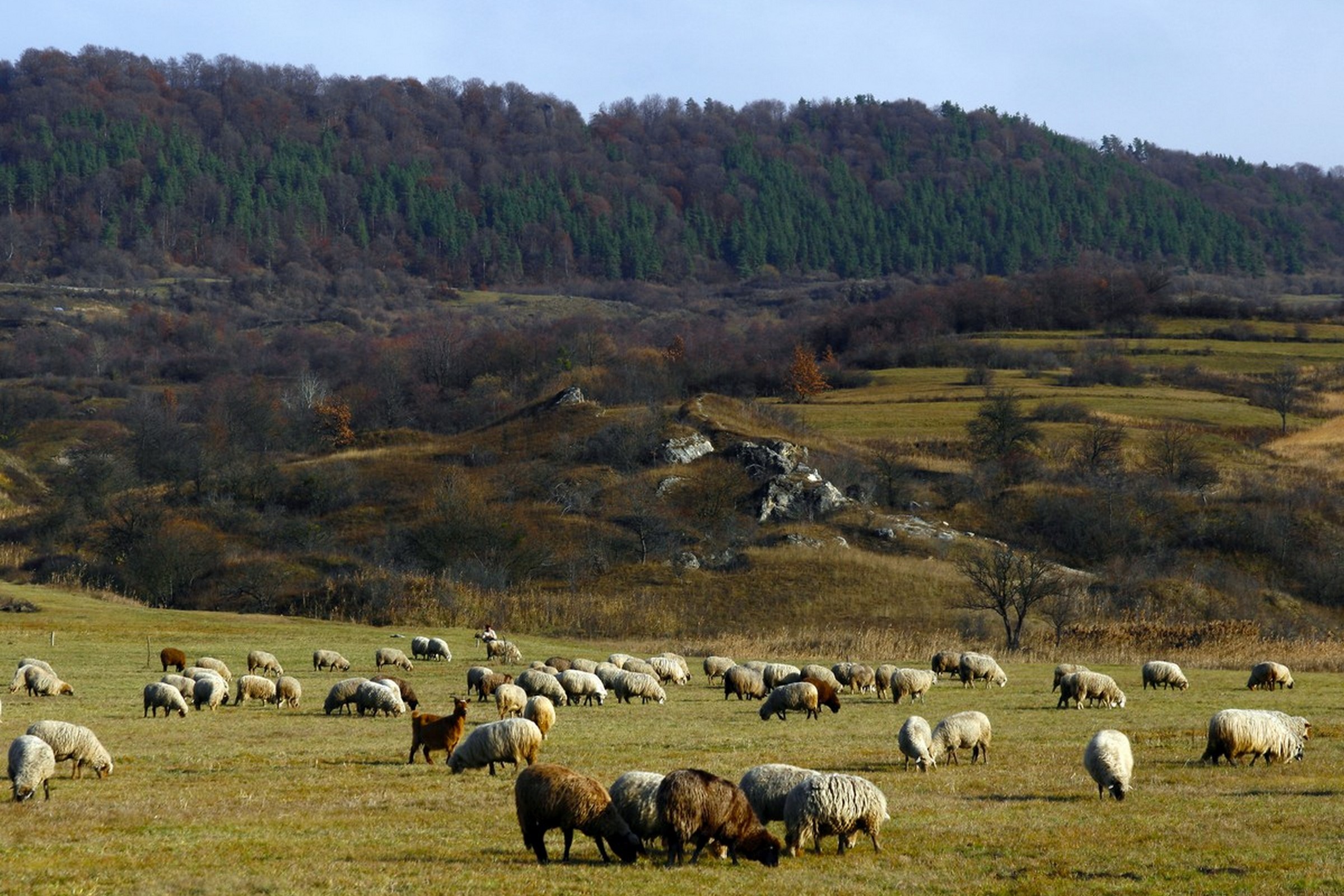 Egyed napjával beköszöntött az ősz