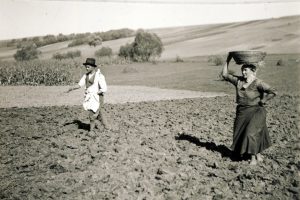 Vetés az 1960-as években (Fortepán/Péterffy István)
