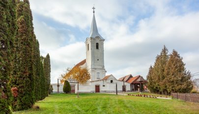 Katalin-napi kuriózumok