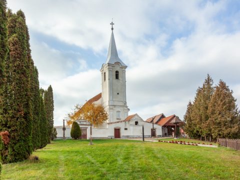 Katalin-napi kuriózumok