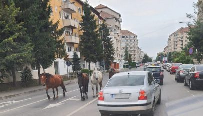 Tíz éve egy háztartásra öt gyermek jutott, jelenleg három az átlag Őrkőn