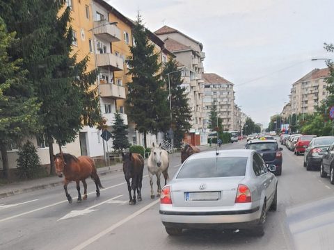 Tíz éve egy háztartásra öt gyermek jutott, jelenleg három az átlag Őrkőn