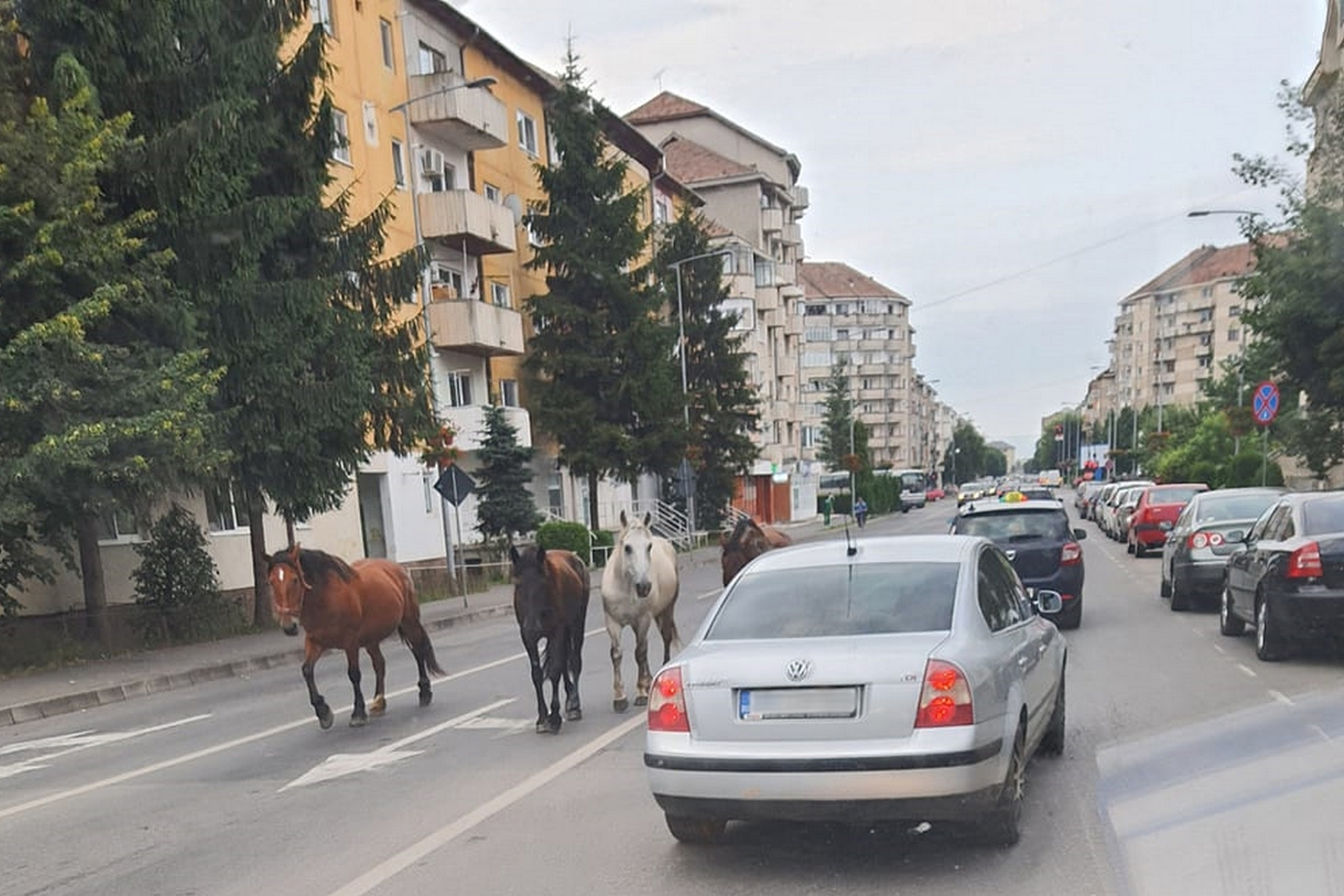 Tíz éve egy háztartásra öt gyermek jutott, jelenleg három az átlag Őrkőn