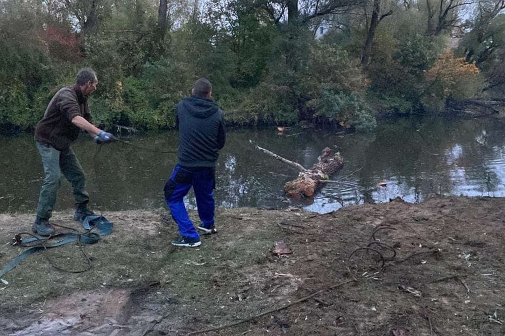 A vízbe esett fatörzsek bosszúságot okoznak a halászoknak, de a halaknak sincs örömük benne. Fotó: SZIA-Szentivánlaborfalva Ifjúsága/Facebook