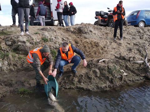 Mocsarasodó tóból édent varázsoltak a halaknak a szentivánlaborfalvi ifjak