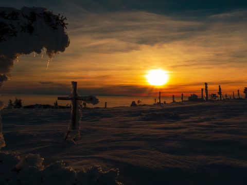 A hajadonok ma éjszaka mindenképp kopogtassák meg a sertésól ajtaját!