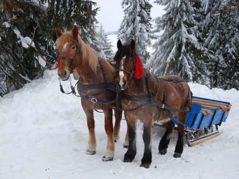 Ma tilos a munka, inkább menjünk templomba!