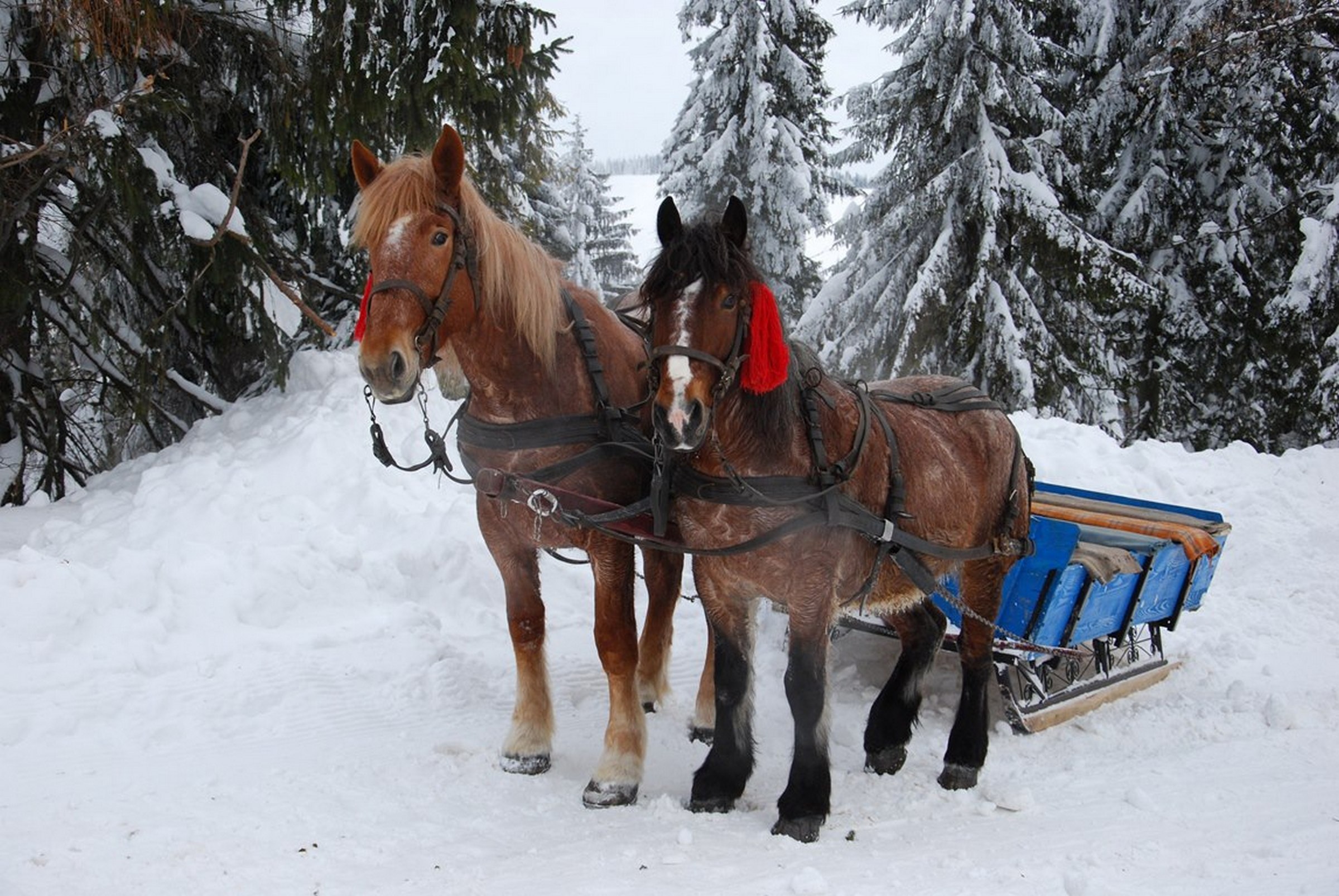 Ma tilos a munka, inkább menjünk templomba!