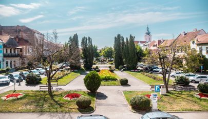 Pótolni fogják a főtérről kivágott magnóliákat