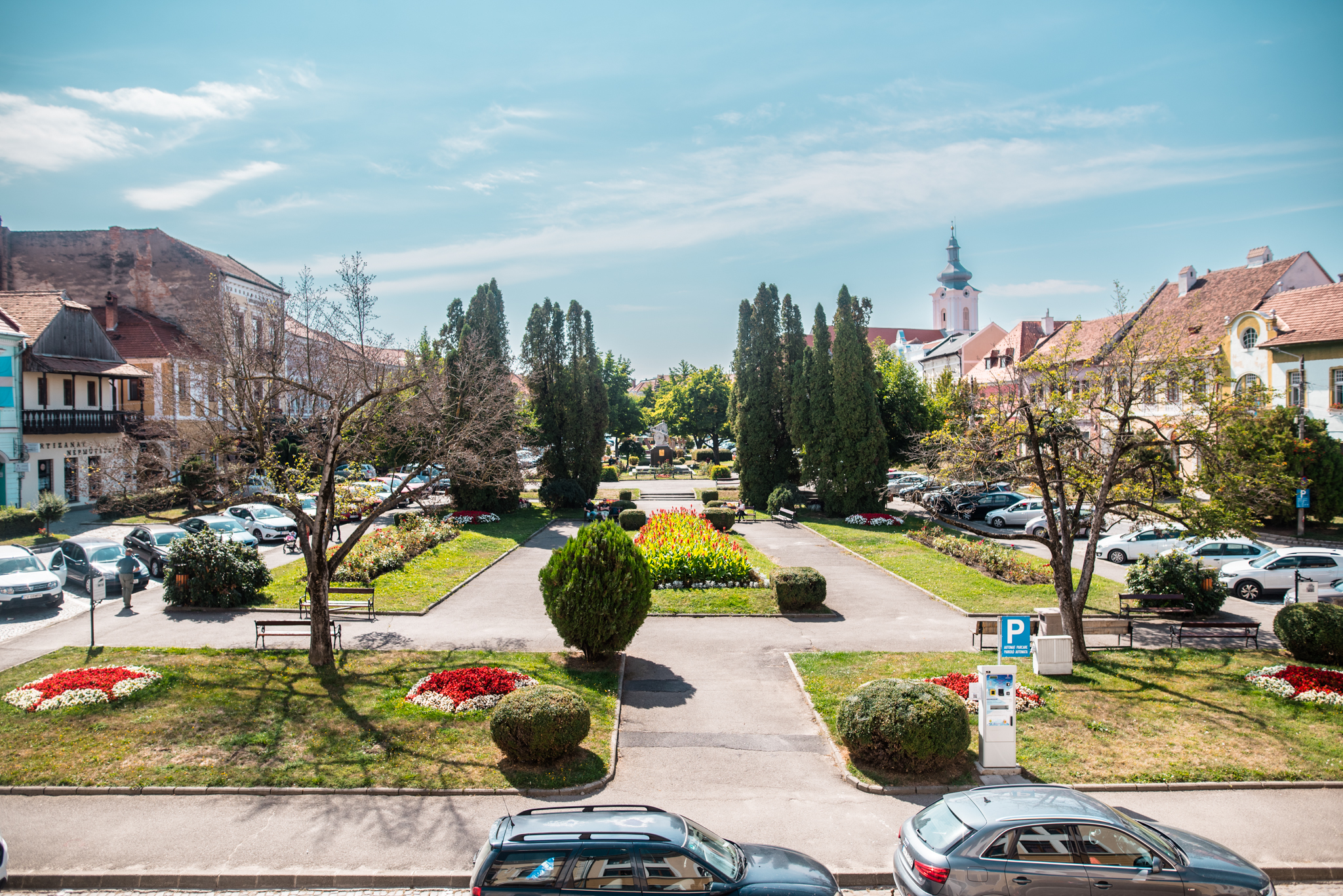 Pótolni fogják a főtérről kivágott magnóliákat