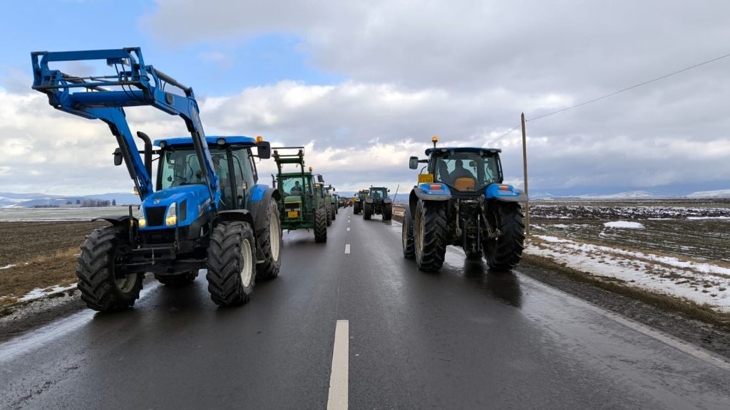 Fotó: Farkas Orsolya