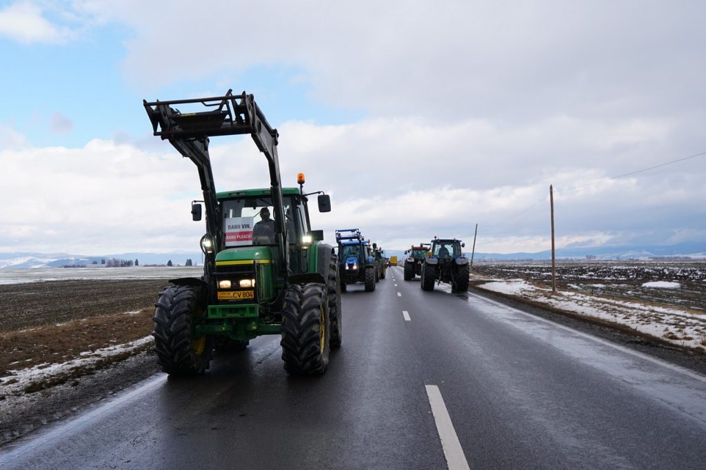 Fotó: Farkas Orsolya