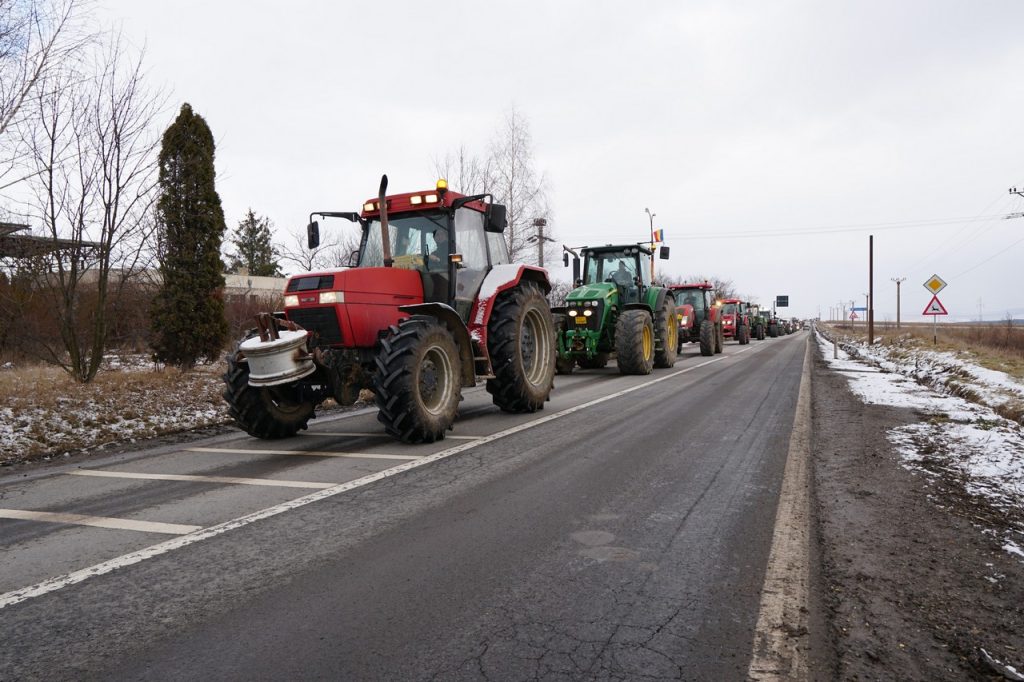 Fotó: Farkas Orsolya