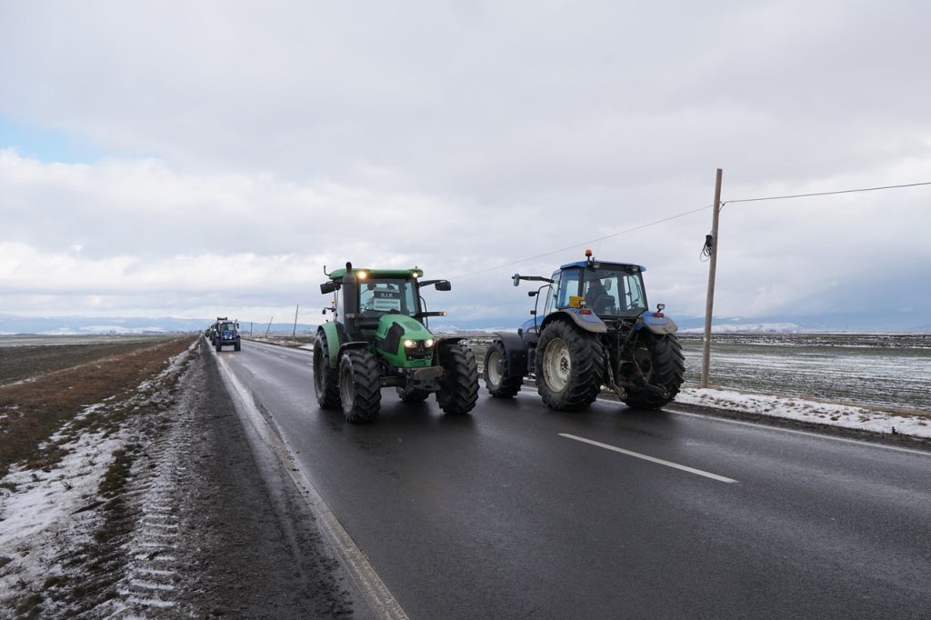 Fotó: Farkas Orsolya