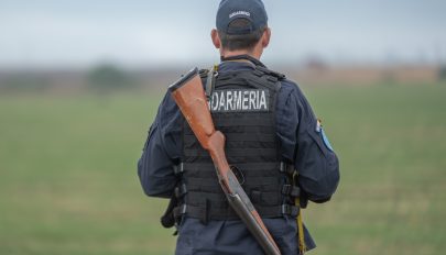 Több mint kétszázszor kellett medvét riasztaniuk tavaly a háromszéki csendőröknek