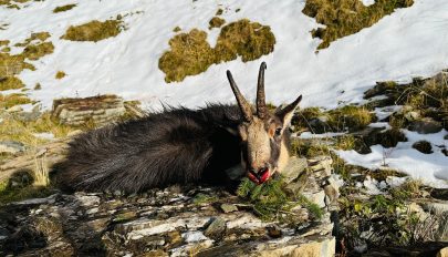 Nyakleves, de nem abból a fajtából, amit a lurkók kerülnek