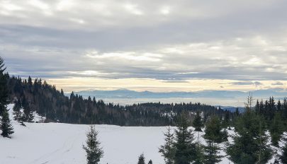 Olyan február is volt, amikor diónyira nőtt az alma