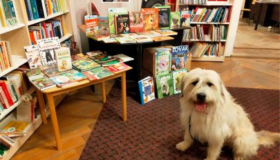 Állatbarát könyvtárprogram a megyei könyvtárban