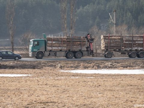 Elsumákoltak volna pár köbméter deszkát