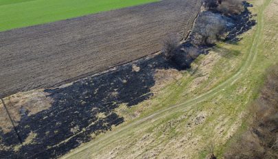 Csak a szokásos: égnek a legelők és a kaszálók