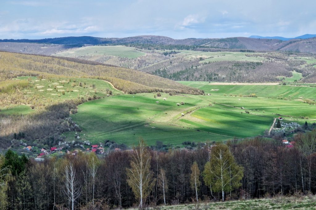 Tavaly a torjai határ már zöld volt április 23-án… Fotó: Kocsis Károly