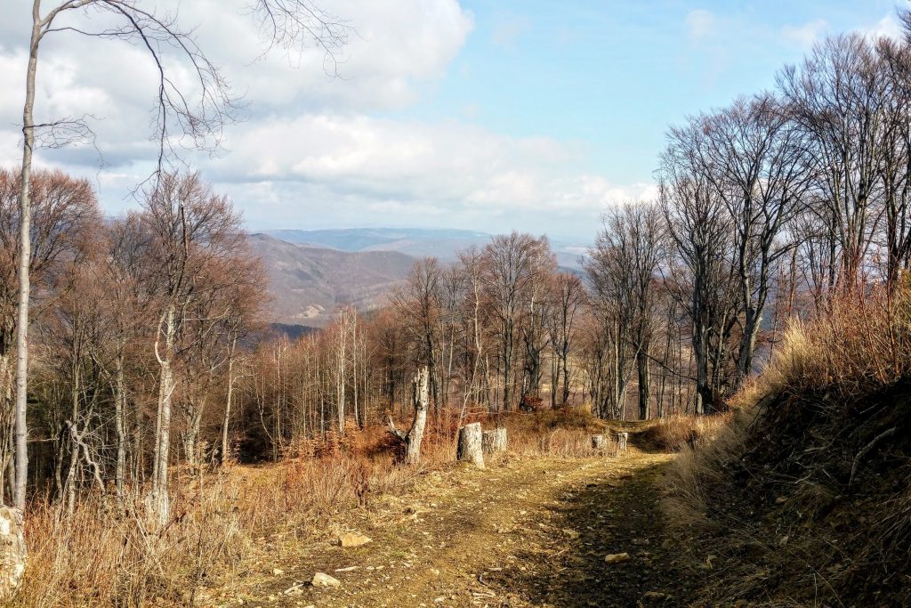 A Bodoki-hegységben 2016. március 5-én. Fotó: Kocsis Károly