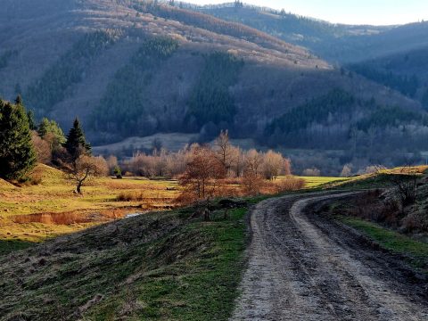 A március sietve eltelik, megcsal, sokszor ravasz