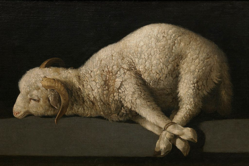 Francisco de Zurbarán: Agnus Dei. FOTÓ: MUSEO DEL PRADO, MADRID