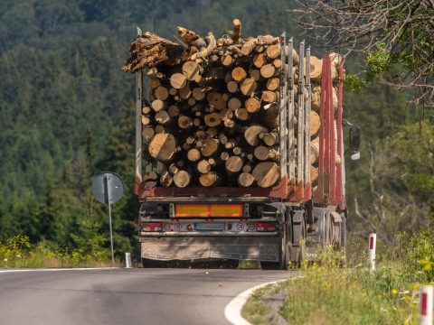 Messze elmarad az országos átlagtól a falopás mértéke Háromszéken