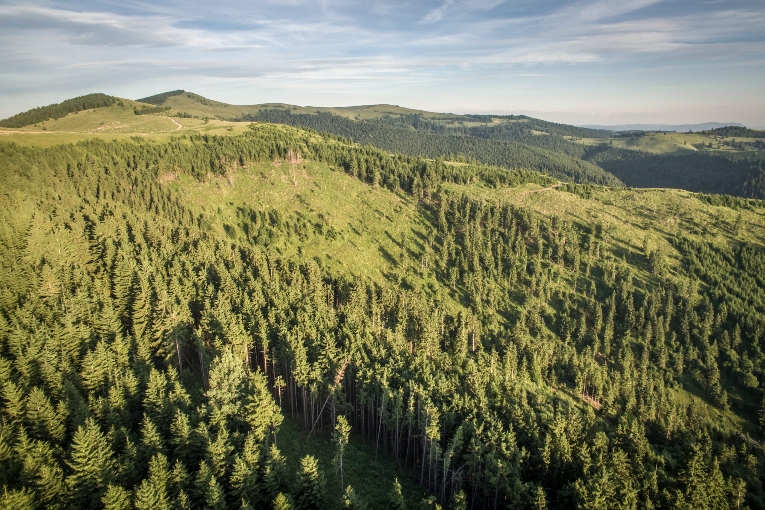 Könnyedén elfelejti az állam az erdőtulajdonosoknak járó tavalyi tartozásait