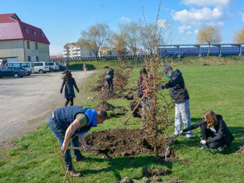 Tizennegyedszer szervezik meg a Tavaszi Zöld Napokat