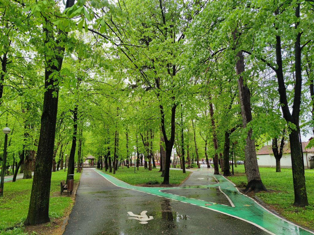 A Molnár Józsiás park a város legrégebbi zöldövezete. Fotó: Farkas Áron