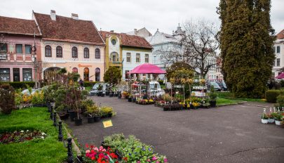 Virágvásárt tartanak Kézdivásárhely főterén