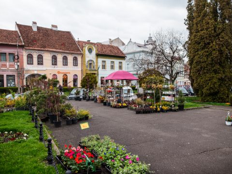 Virágvásárt tartanak Kézdivásárhely főterén