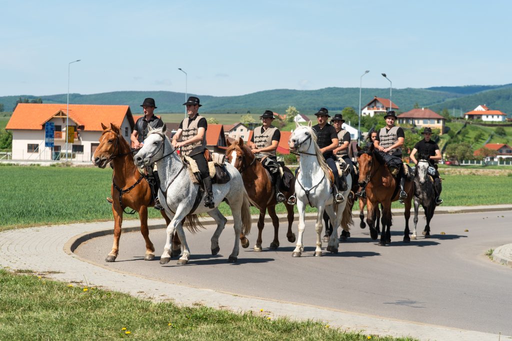 Két irányból érkeztek, összesen tizenkét lovas gyülekezett. Fotó: Farkas Orsolya