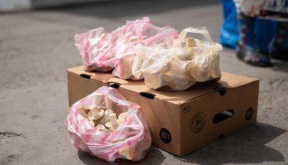 Mire figyeljünk, ha útszéli gombavásárlásra adjuk a fejünket?