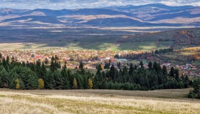 Közel 2600 hektárnyi erdőt akar elvenni az állam az ozsdolaiaktól