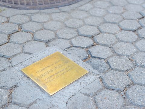 Még a kövekbe is beleköt a hivatásos provokátor