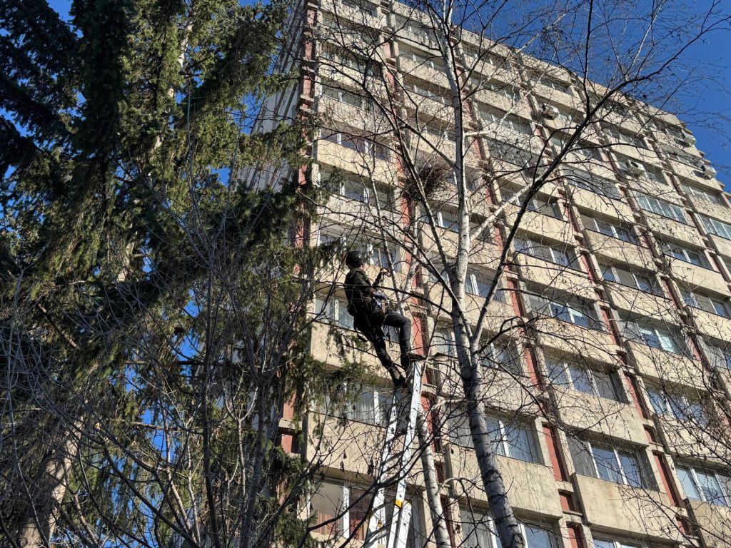 Fotó: Rara Avis Egyesület
