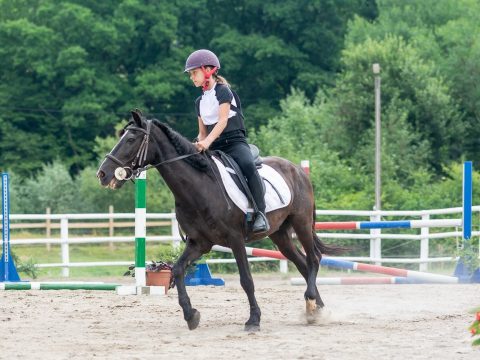Lemondott a Vadon Egyesület a Benedek-mezei lovarda működtetéséről