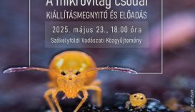 A Mikrovilág csodái Ceaușescu medvéje mellett