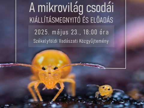 A Mikrovilág csodái Ceaușescu medvéje mellett