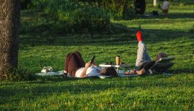 Szabályos piknikezőhelyekké alakítják a kedvelt kirándulóhelyeket