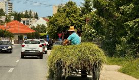 Újra a rendőrség célkeresztjében a szekerek