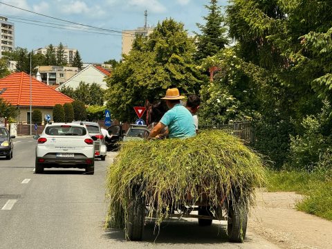 Újra a rendőrség célkeresztjében a szekerek