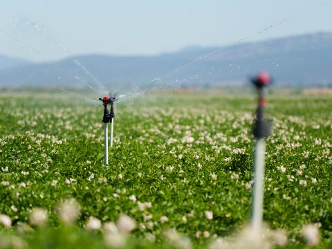 Aszály elleni küzdelem: a megyei tanács támogatja a gazdákat az öntözésben